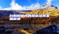 白蚂蚁研究的现状及其发展前景