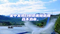 家中发现白蚁危害随意用药不治本。