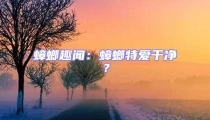 蟑螂趣闻：蟑螂特爱干净？
