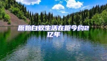原始白蚁生活在距今约2亿年