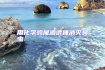 用化学鸡尾酒诱捕消灭臭虫