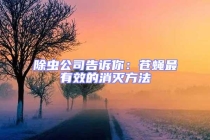 除虫公司告诉你：苍蝇最有效的消灭方法