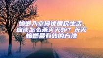 蟑螂入室侵扰居民生活,应该怎么杀灭灭蟑?杀灭蟑螂最有效的方法
