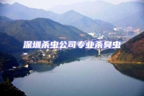深圳杀虫公司专业杀臭虫-