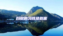 白蚁的习性及危害