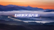白蚁的灭治方法：
