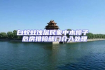 白蚁蛀蚀居民家中木檩子 危房排险部门介入处理