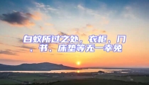 白蚁所过之处,衣柜、门、书、床垫等无一幸免