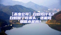 【杀虫公司】白蚁吃什么？白蚁除了吃木头，还能吃钢筋水泥吗？