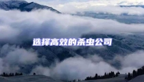 选择高效的杀虫公司