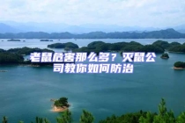 老鼠危害那么多？灭鼠公司教你如何防治