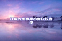江堤大坝水库水利白蚁治理