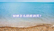 蟑螂怎么彻底消灭？