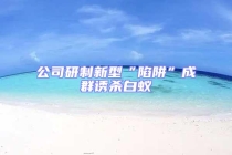 公司研制新型“陷阱”成群诱杀白蚁