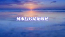城市白蚁防治概述