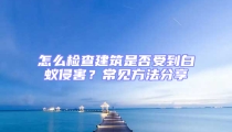 怎么检查建筑是否受到白蚁侵害？常见方法分享