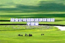 除虫公司给你洁净环境超乎想象