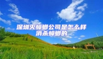 深圳灭蟑螂公司是怎么样消杀蟑螂的