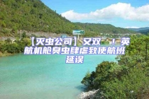 【灭虫公司】又双叒叕！英航机舱臭虫肆虐致使航班延误