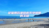 足量用药是彻底灭绝蟑螂的关键