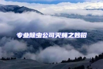 专业除虫公司灭蝇之妙招