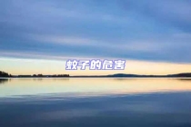 蚊子的危害