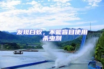 发现白蚁，不能盲目使用杀虫剂