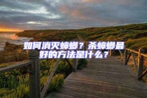 如何消灭蟑螂？杀蟑螂最好的方法是什么？