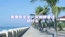 家里有宝宝,灭蟑螂要注意什么
