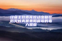 经宿主致倦库蚊幼虫复壮后灭蚊真菌贵阳腐霉的毒力观察