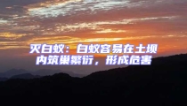 灭白蚁：白蚁容易在土坝内筑巢繁衍，形成危害