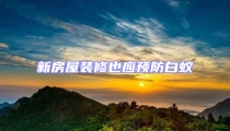新房屋装修也应预防白蚁