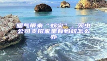 暖气带来“蚁灾”，灭虫公司支招家里有蚂蚁怎么办