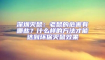 深圳灭鼠：老鼠的危害有哪些？什么样的方法才能达到环保灭鼠效果