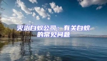 灭治白蚁公司:有关白蚁的常见问题