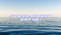 马陆是什么？该如何快速地消灭马陆？