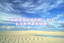 蟑螂是如何扩散的？为什么全世界都有蟑螂？