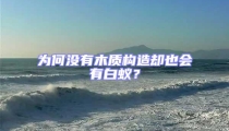 为何没有木质构造却也会有白蚁?