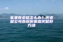 家里有老鼠怎么办？灭老鼠公司告诉你家庭灭鼠好方法