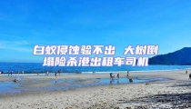 白蚁侵蚀验不出 大树倒塌险杀港出租车司机