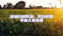 深圳白蚁防治：灭白蚁要专业人来处理