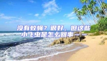 没有蚊蝇？很好，但这些小飞虫是怎么回事……