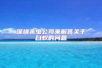 深圳杀虫公司来解答关于白蚁的问题