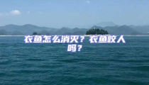 衣鱼怎么消灭?衣鱼咬人吗?