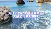 为什么自己灭鼠没有专业灭鼠公司的效果好
