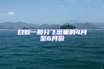 白蚁一般分飞出巢的4月至6月份