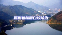 深圳碧桂园白蚁防治