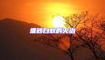 堆砂白蚁的灭治