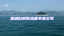 深圳白蚁防治最专业公司