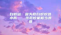 白蚁站:因为散白蚁蚁路小而骫骳,寻觅蚁巢相当艰难